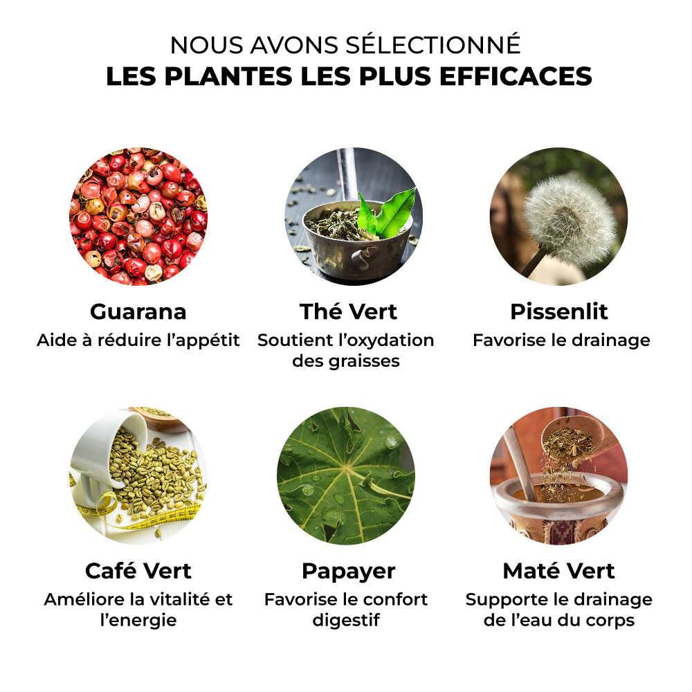 Vitamines Minceur