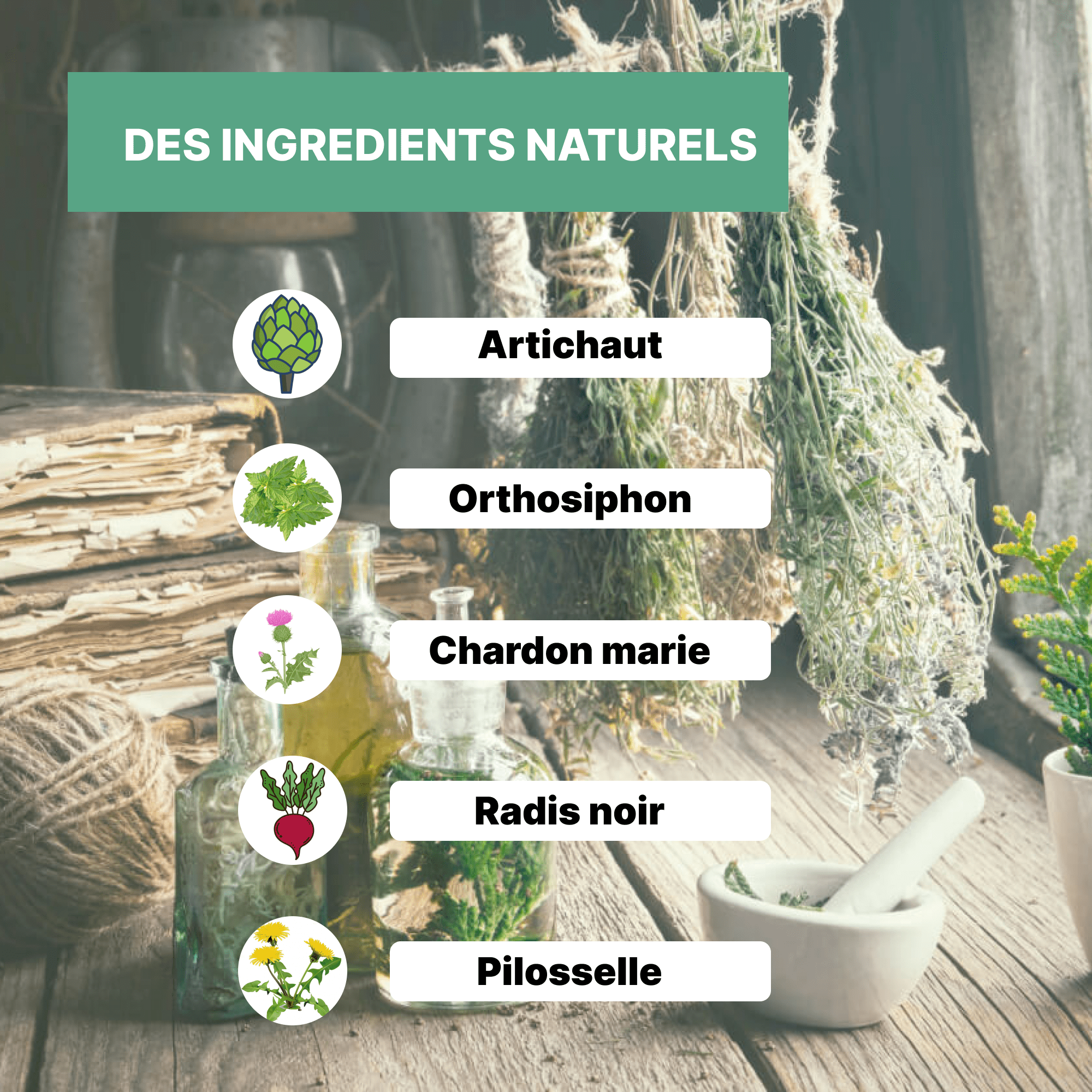 Elixir Drainage Détox - Officine Immortelle