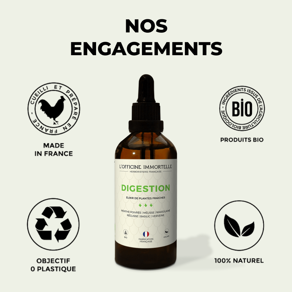 Elixir - Digestion - Officine Immortelle