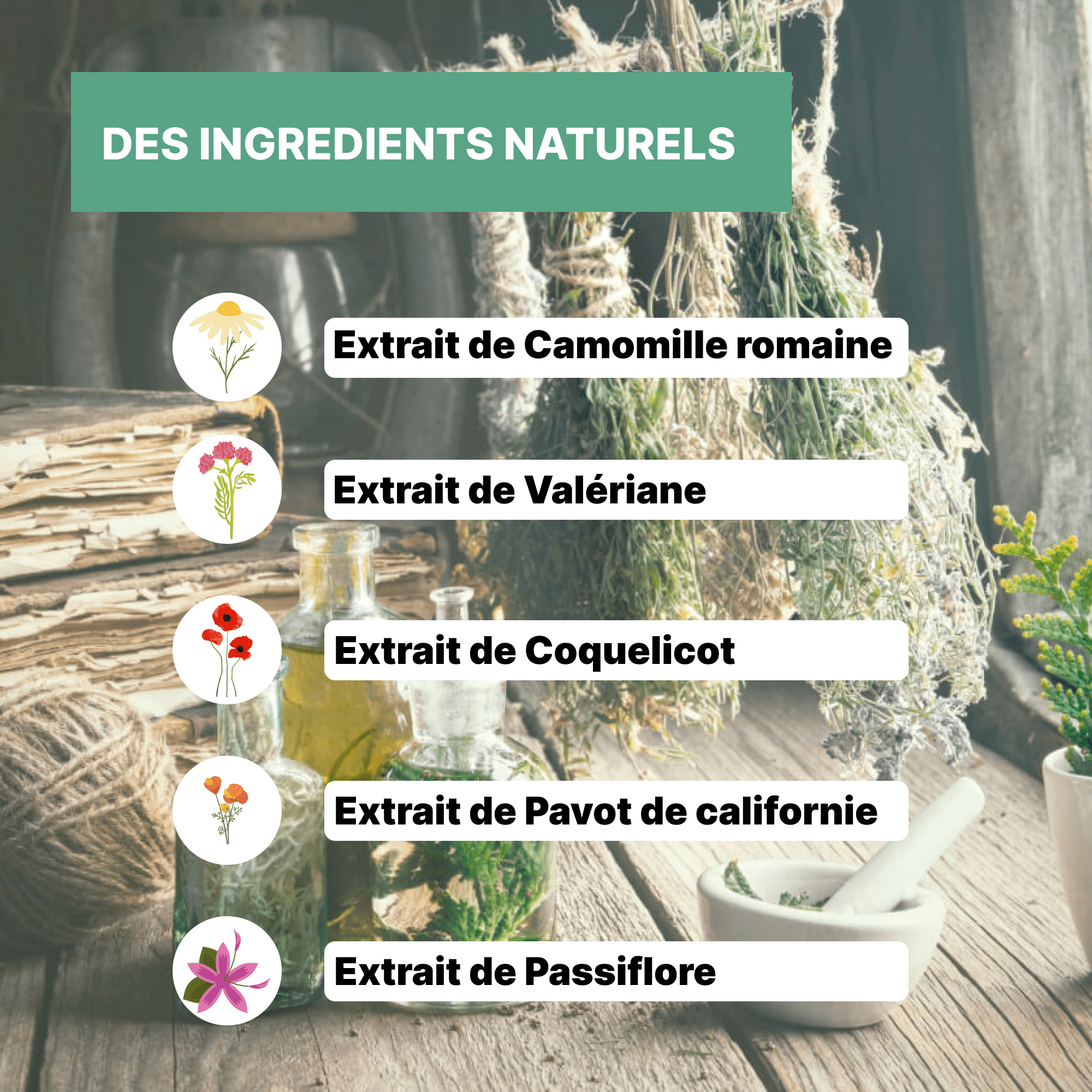Elixir Sommeil - Formule sans Mélatonine - Officine Immortelle